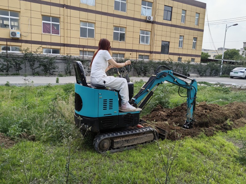 How much is a small agricultural excavator?