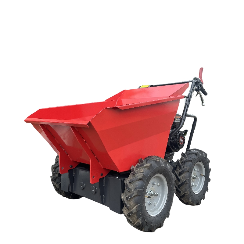 Small wheel dump truck